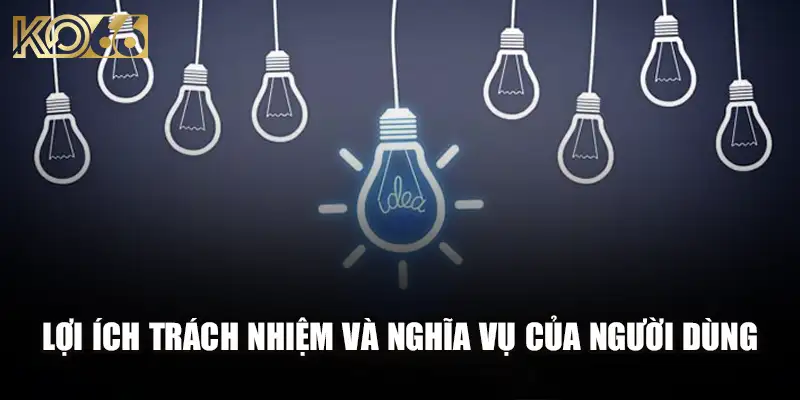 Lợi ích trách nhiệm và nghĩa vụ của người dùng